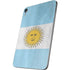 Argentina Flag Distressed Apple iPad Mini Skin
